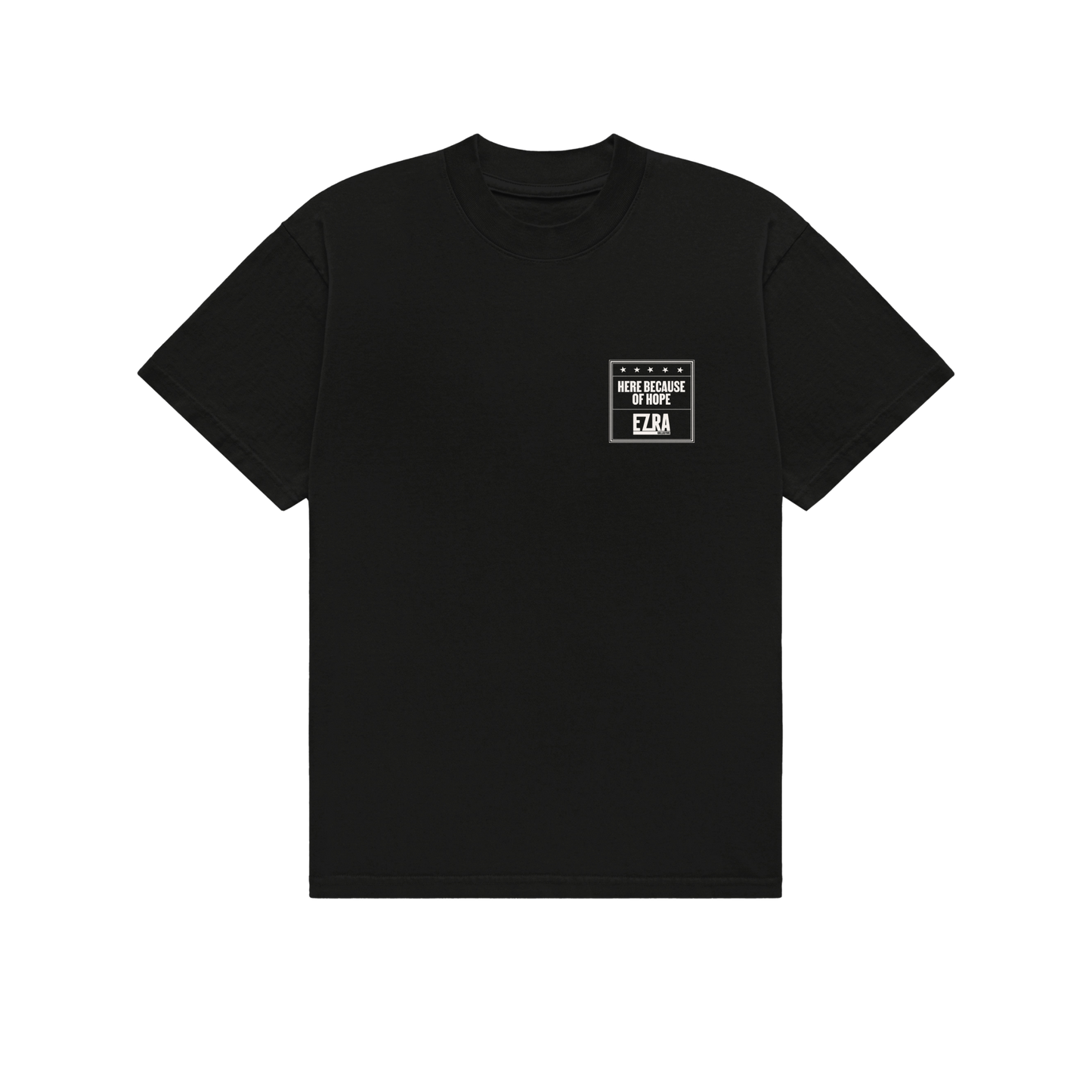 T-Shirt + Vinyl Bundle